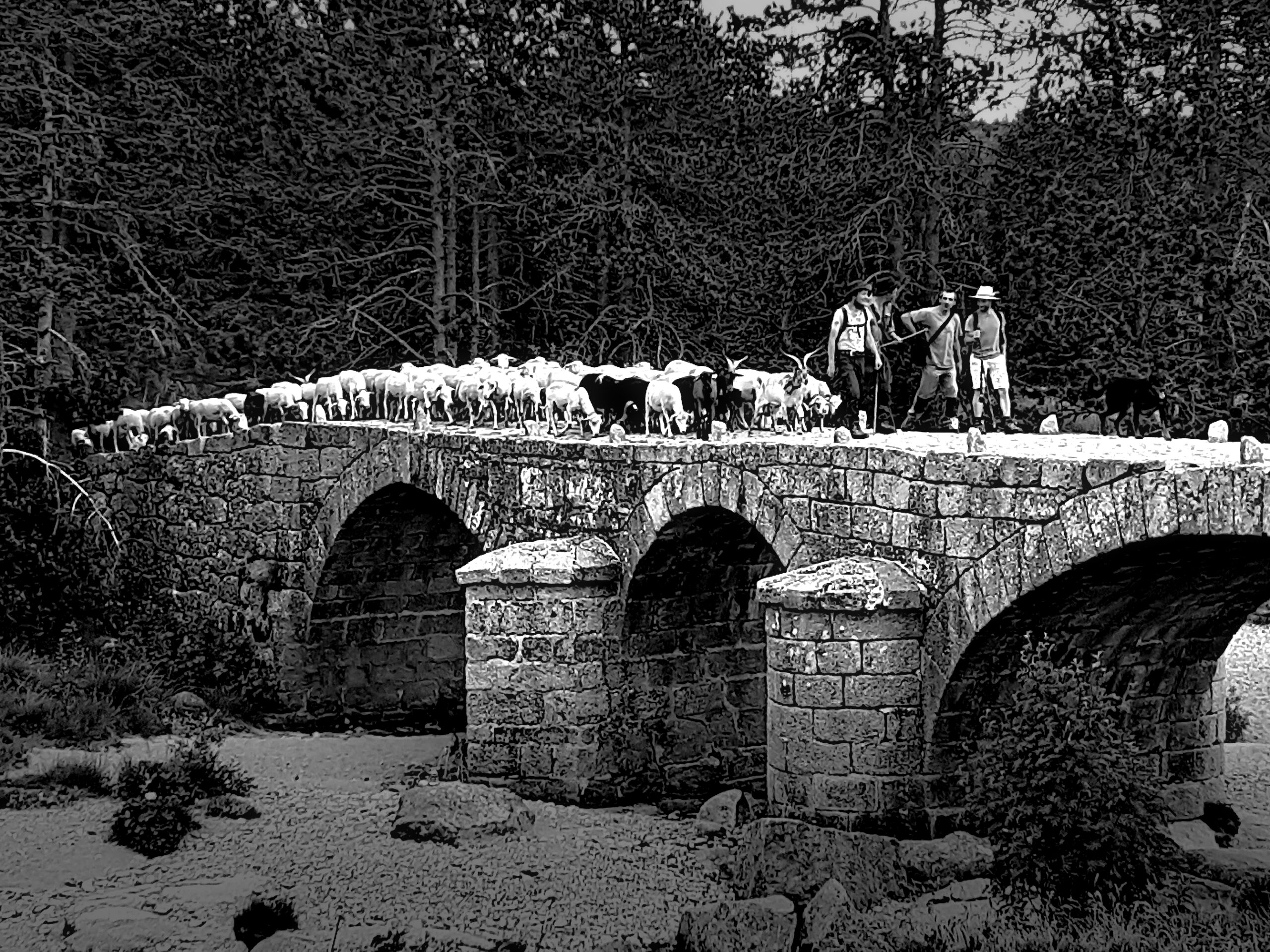 À suivre : Exposition du club photo le déclic - “En cévennes” - Du 20 Mars au 01 Mai 2026 – Image 2