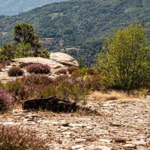 À suivre : Exposition du club photo le déclic - “En cévennes” - Du 20 Mars au 01 Mai 2026