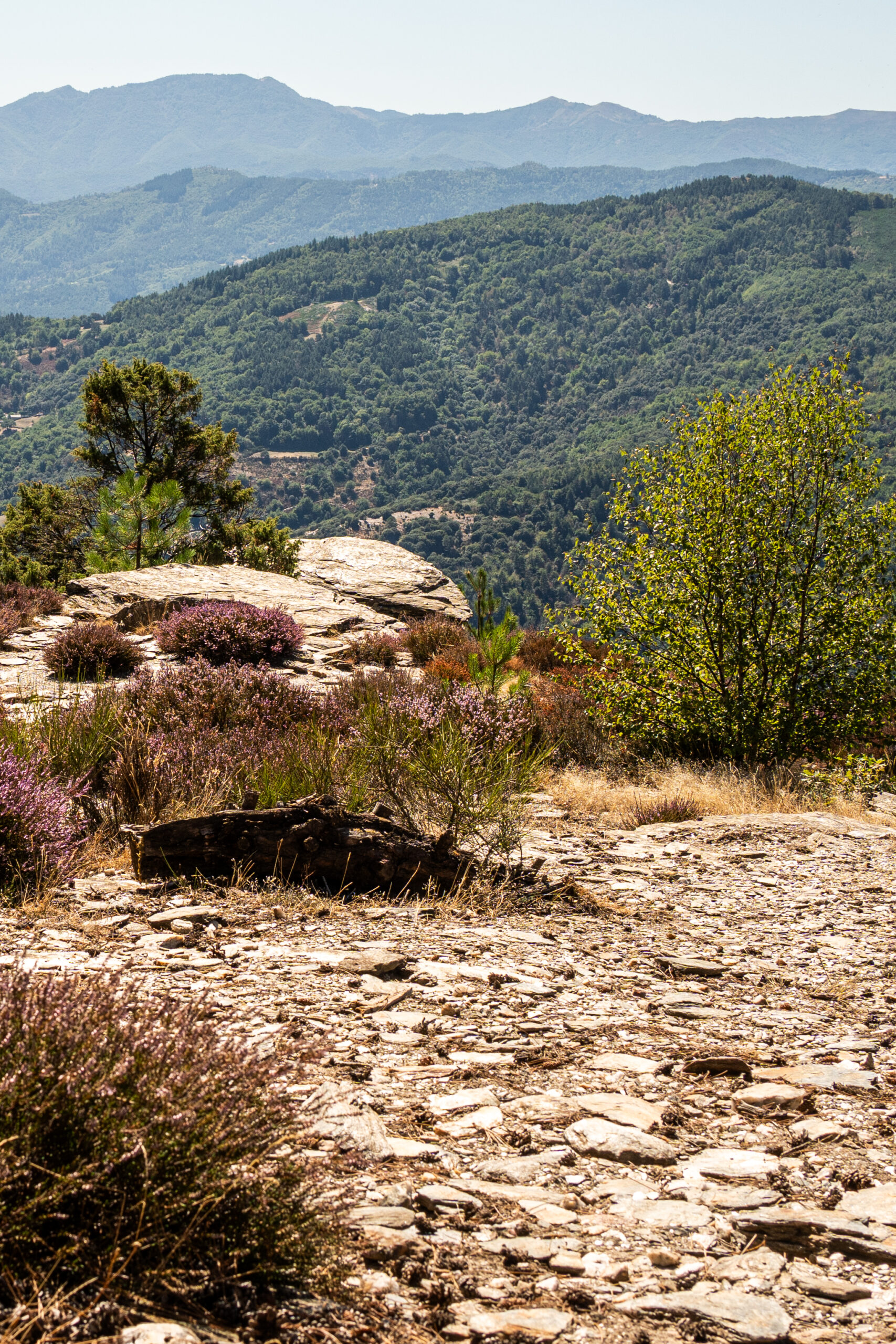 À suivre : Exposition du club photo le déclic - “En cévennes” - Du 20 Mars au 01 Mai 2026