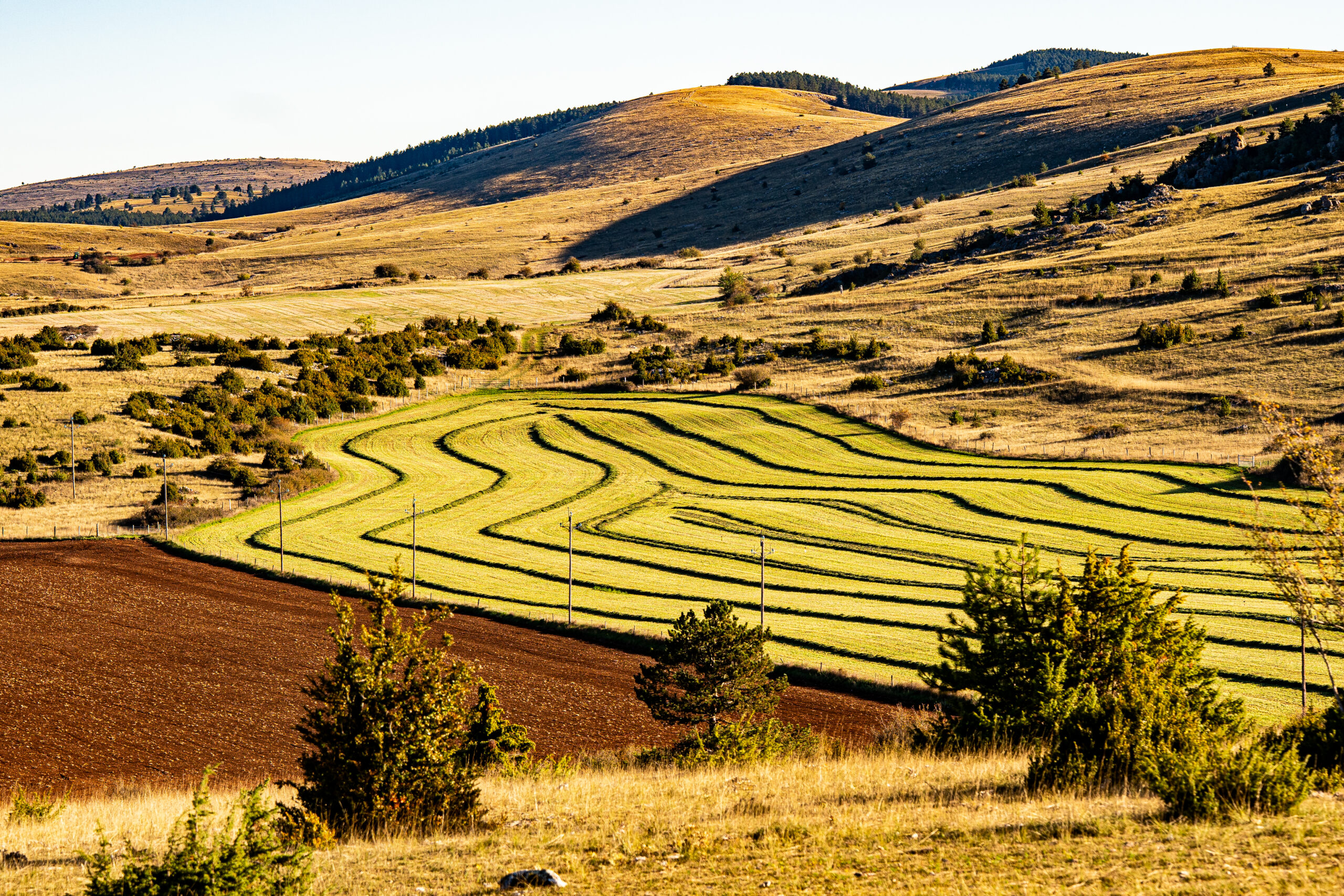 À suivre : Exposition du club photo le déclic - “En cévennes” - Du 20 Mars au 01 Mai 2026 – Image 7
