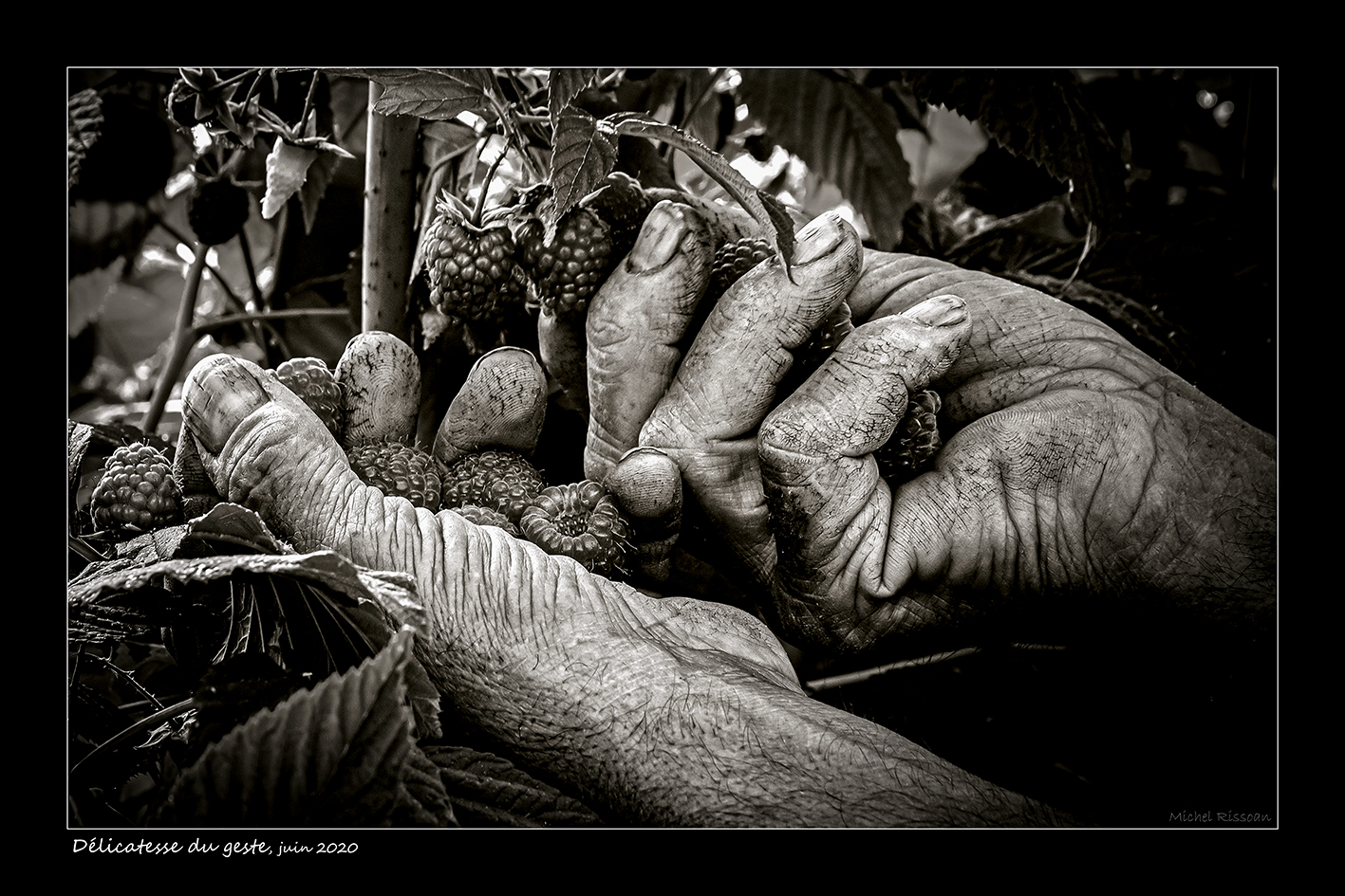 Prochainement.. Exposition "Black and White - Humanité et Dualité" du 26 Juin au 21 Août 2026 – Image 7
